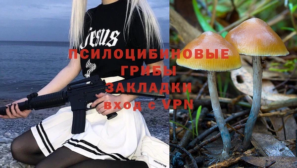 СК Вяземский